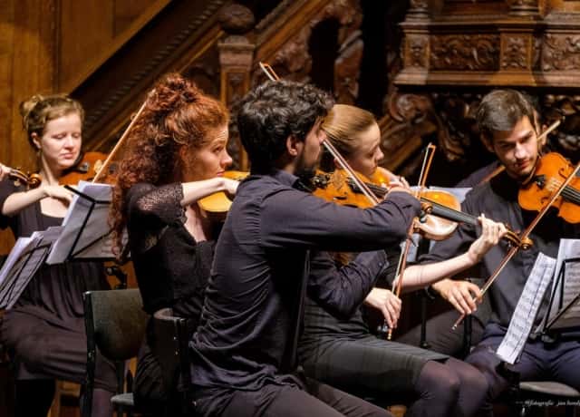Ciconia Consort