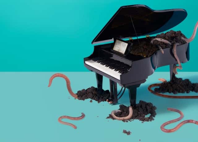 GROND, een rouwe musical
