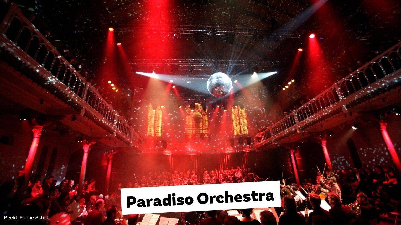 Paradiso Orchestra