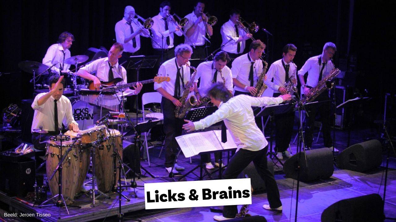 Licks & Brains