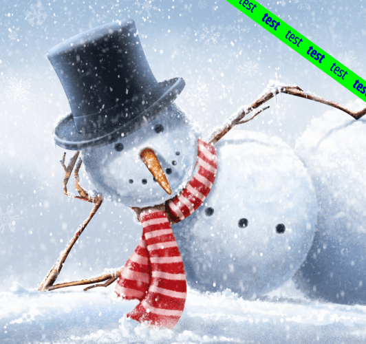 Bossche Kerst: De Sneeuwman
