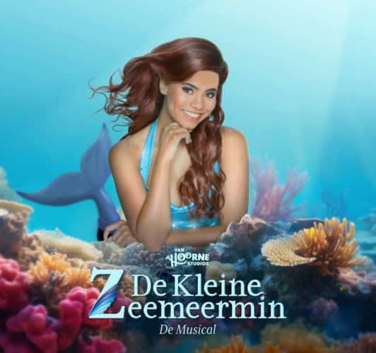 De Kleine Zeemeermin (4+)