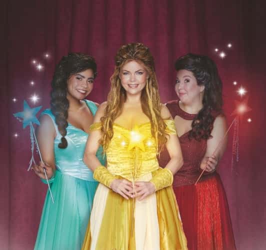 Doornroosje De Musical (4+)