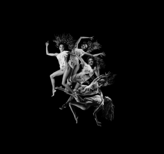 Anima Obscura