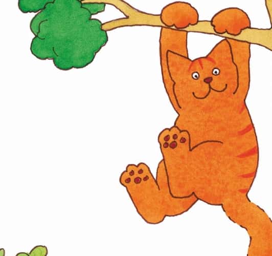 Op avontuur met Dikkie Dik (2+)