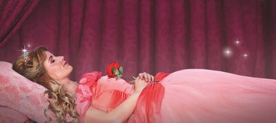 Een vrouw in een roze baljurk ligt op een kussen voor een roze gordijnachtergrond. Ze houdt een rode roos vast op haar borst en draagt een kleine tiara in haar krullende haar. Kleine fonkelende lichtpuntjes zweven naast haar, wat een sprookjesachtige sfeer geeft.